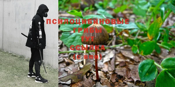 амф Сатка
