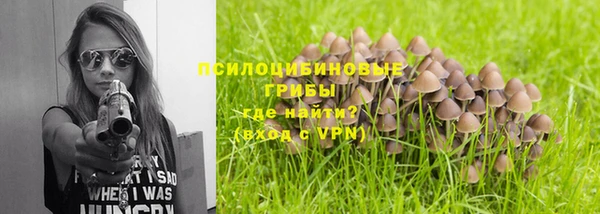 прущая мука Абаза