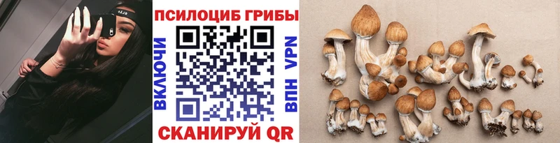 хочу   Томари  Псилоцибиновые грибы Magic Shrooms 